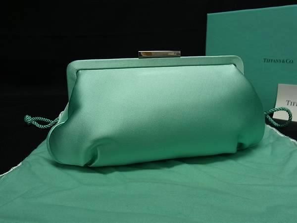 Tiffany & Co Satin Clutch Bag Second Bag Multi Case