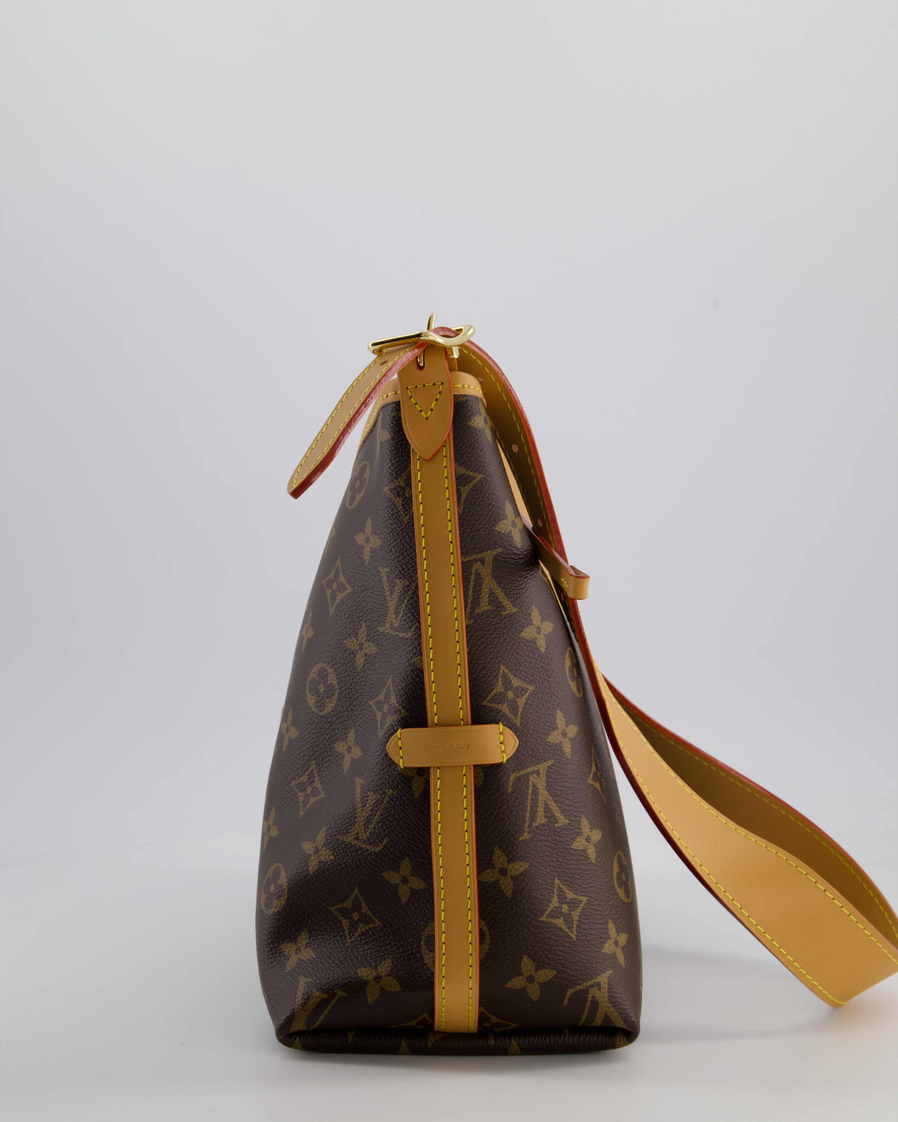 *BRAND NEW* Louis Vuitton Brown CarryAll PM Bag in Monogram Coated Canvas, Vacchetta Leather and Gold Hardware