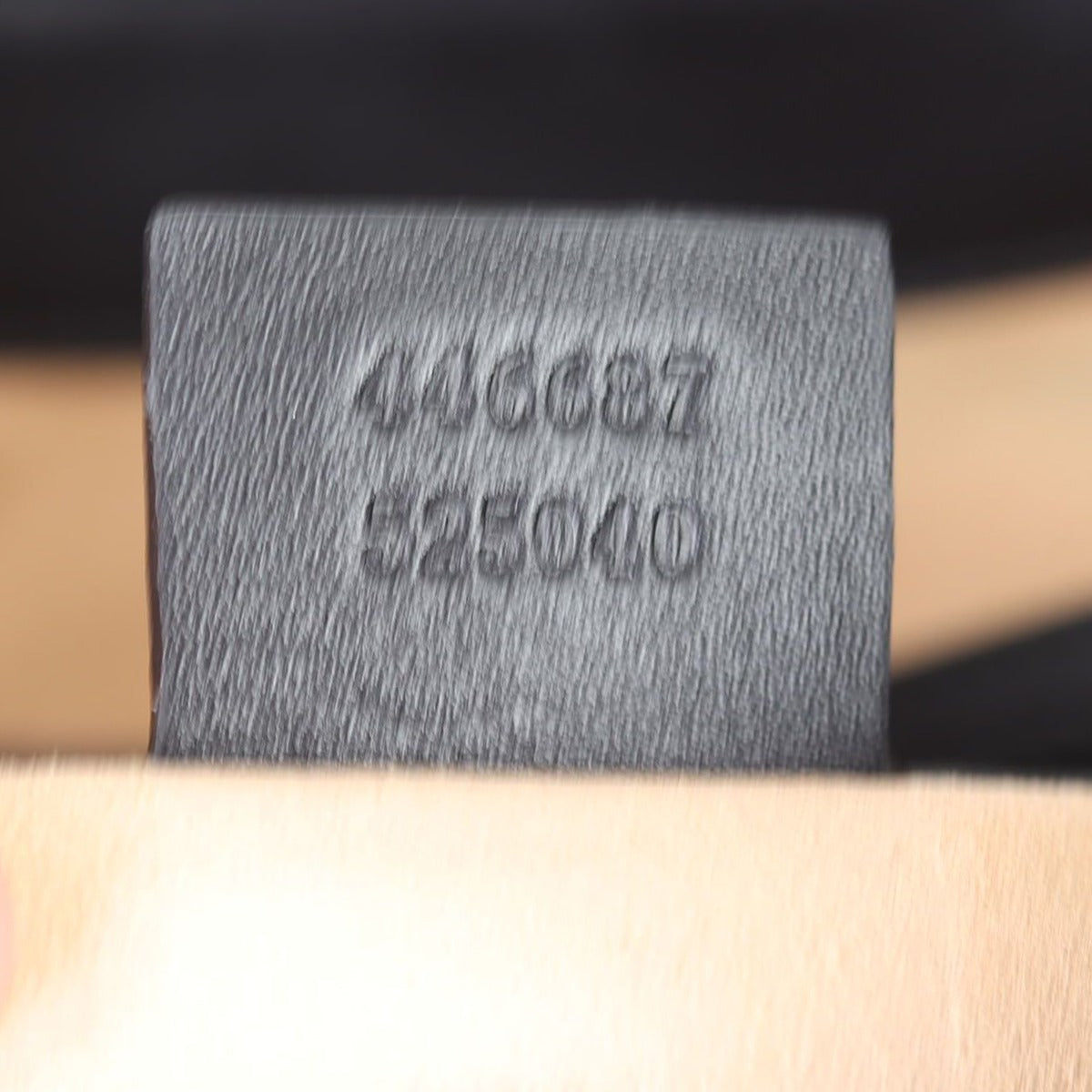 Gucci Dionysus Leather Hobo