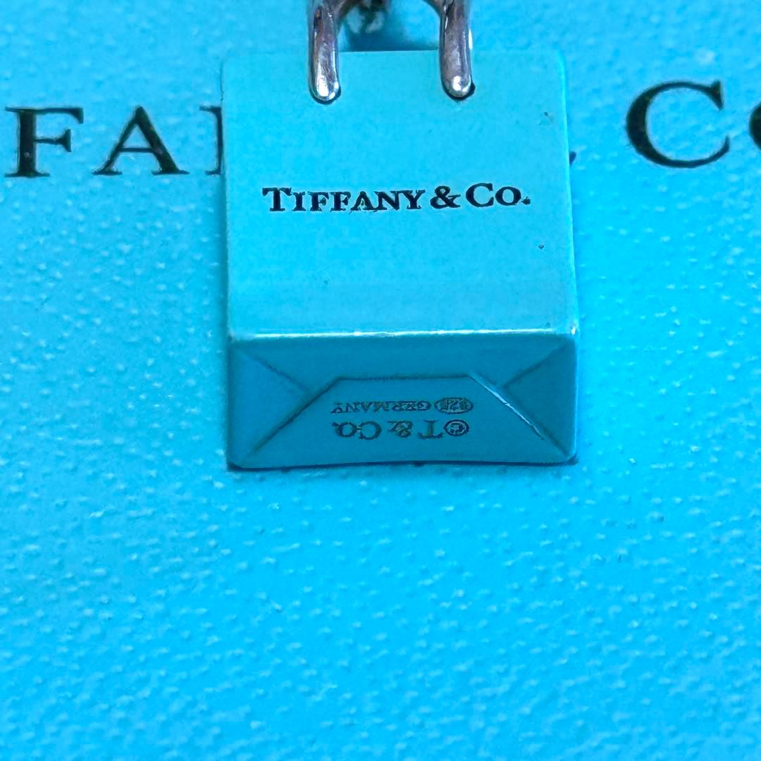 Tiffany & Co Necklace Shopper Bag Blue